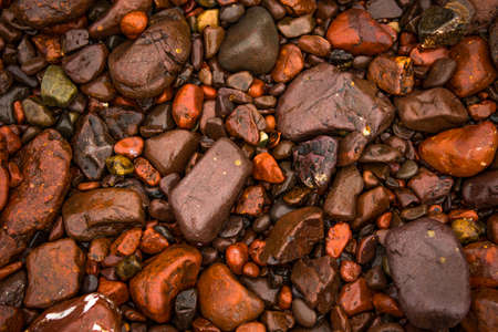 Wet Red Pepples At Atlantic Coast in Scotlandの写真素材