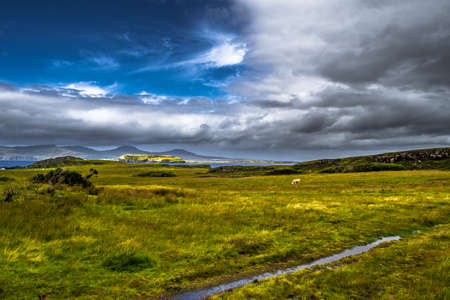 Scenic Landscape With Cow At The Coast Of The Isle Of Skye In Scotlandの写真素材
