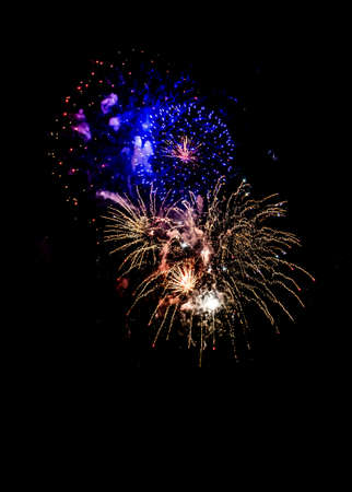 Celebration With Bright Colorful Fireworks Over Black Sky