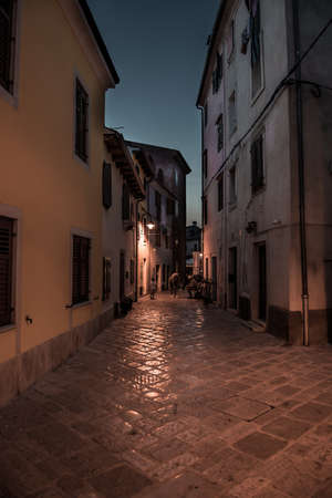 Narrow Alley With Old Houses In The Village Fazana In Croatiaのeditorial素材