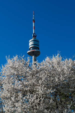 Danube Tower With Blooming Cherry Trees In The City Of Vienna In Austriaの写真素材