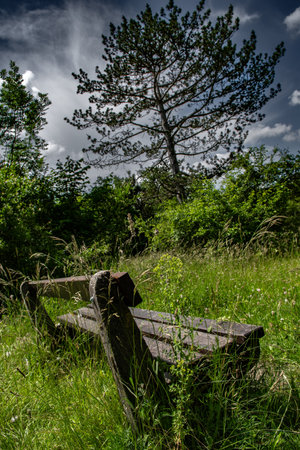 Abandoned Old Bench In Rural Landscape Of River Danube Wetlands National Park In Austriaの写真素材