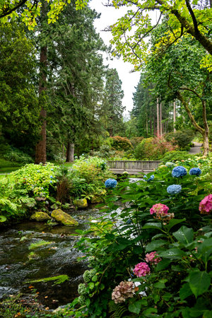 Botanic Bodnant Garden With Wooden Bridge Over Small Creek And Hiking Paths In North Wales, United...