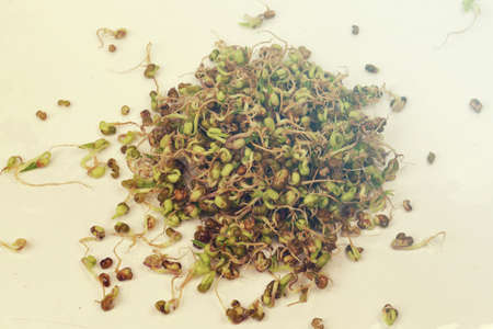 Bean sprouts scattered in the studio on a white background