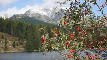 Strbske pleso and Tatra peaks visible from the back. A village located in the valley, from which tourists are moving to the Tatras. Colorful waters of a mountain pond, blue sky and unending peaks.の写真素材