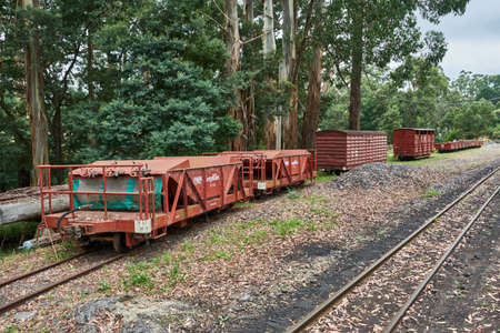 Menzies Creek, Victoria, Australia. 03-01-2021. Vintage Rolling Stock, Brake Vans and Guards Wagons Awaiting Restorationのeditorial素材
