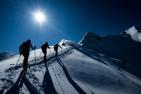 Ski mountaineering team training in the winter snowの写真素材