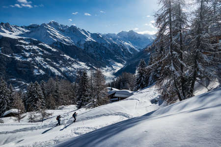 People ski touring in the swiss mountain alpsの写真素材