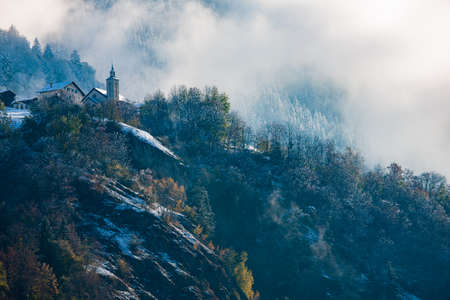 trees in autumn with snowの写真素材