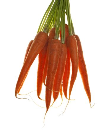 Harvested bunch of carrots, isolated on whiteの写真素材