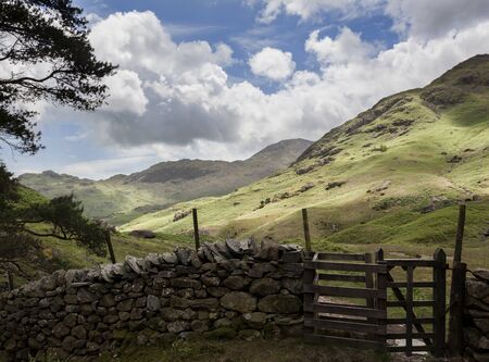 Blake Rigg and Tilberthwaite Fells from Blea Tarn, Lake Districtの写真素材