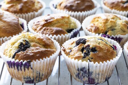 a number of fresh home baked blueberry muffins on a cooling rackの写真素材