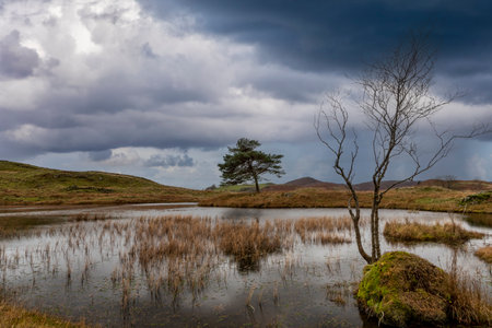 kelly hall tarn at torver near coniston in the lake districtの写真素材