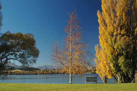 Fall Scene - Empty Benchの写真素材