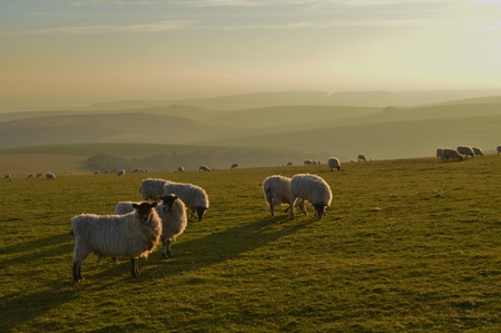 Looking Towards Newhaven From the South Downsの写真素材