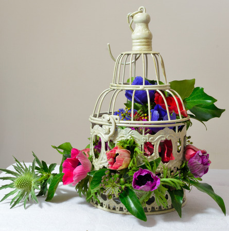 Bird Gage Bouquetの写真素材