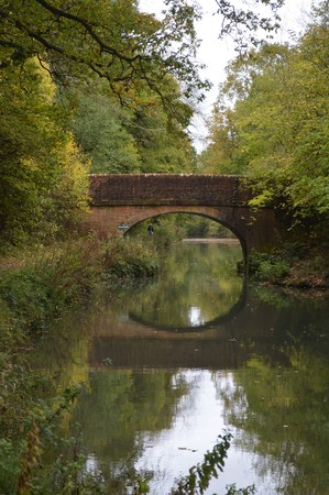 Basingstoke Canal Hampshire near North Warnborough