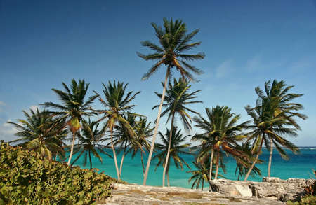 a deserted beach at Bottom Bay, Barbadosの写真素材