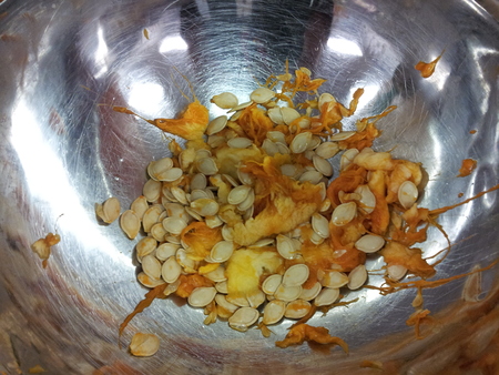 Pumpkinsの写真素材