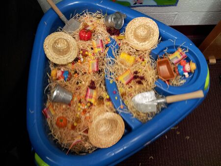 Sensory Tableの写真素材