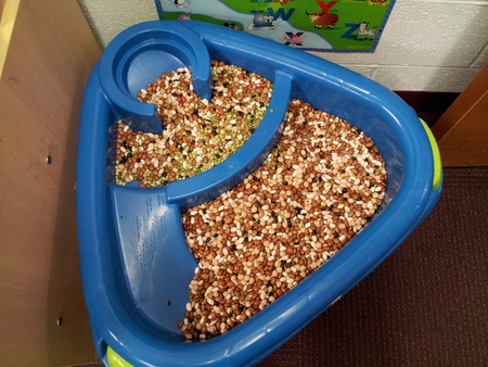 Sensory Tableの写真素材