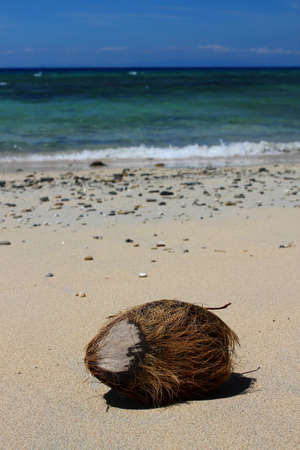 Coconut on the Beach: Wonderful beach in the pacific ocean / Fiji Islandsの写真素材