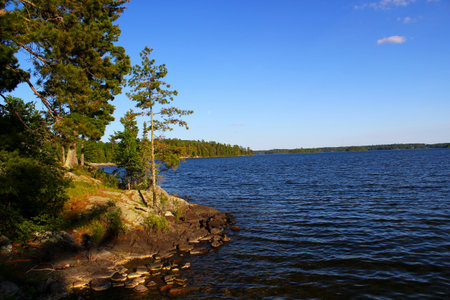 Tranquil scenery at the Lake - typical Canadian Landscape: Beautiful lake and a clear blue sky / Sioux Narrows Provincial Park in Canadaの写真素材
