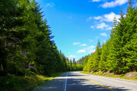 Highway on Vancouver Islandの写真素材