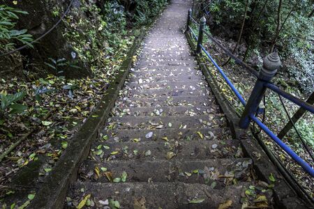 Old stone staircase with metal railing in the jungleの写真素材