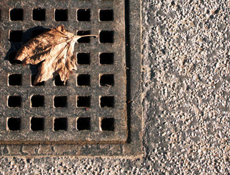 Street abstract: old leave on the floorの写真素材