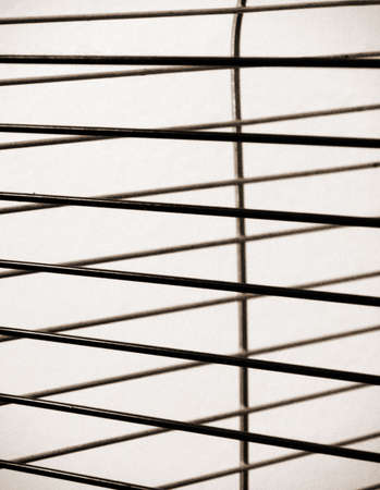 Lines at the white background, prisonの写真素材