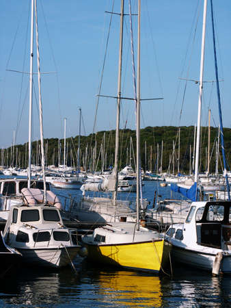 Sail boats, motor boats in small marineの写真素材