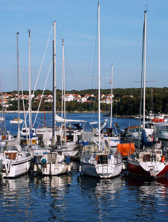 Catamarans in small marineの写真素材