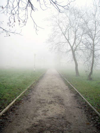 Empty road to the fog and mistの写真素材