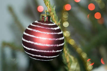 Red small ball on the christmas or new year eve treeの写真素材
