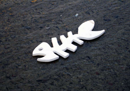 Abstract fish sign in the slow riverの写真素材