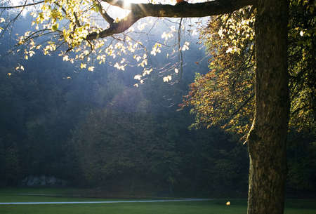 Early autumn mood in the morning city park