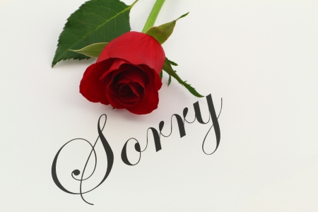 Sorry with red roseの写真素材