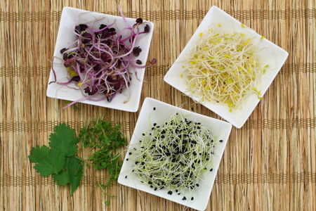 Alfalfa, leek sprouts, coriander and watercress on bamboo matの写真素材