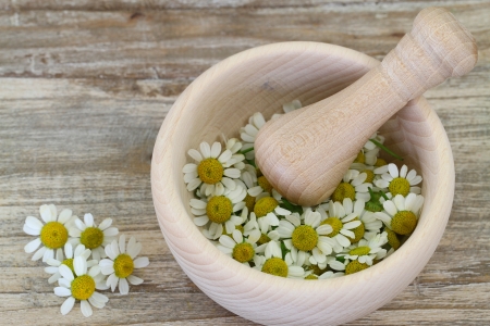 Chamomile flowers in wooden mortar with copy spaceの写真素材