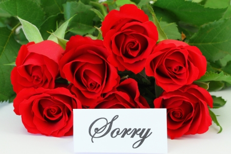 Sorry card with red rosesの写真素材