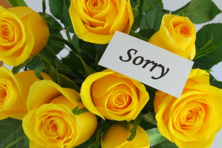 Sorry note and yellow rosesの写真素材