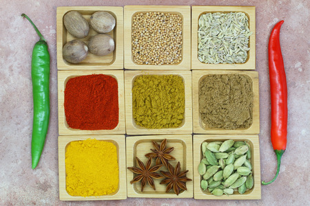 Selection of Indian spices and fresh chiliesの写真素材