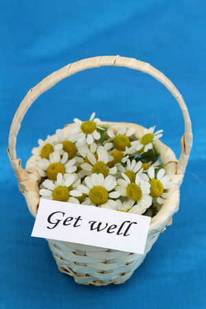 Get well card on mini wicker basket full of chamomile flowersの写真素材
