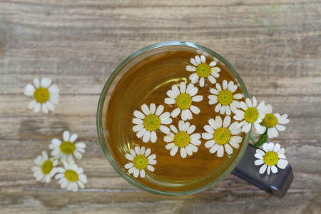 Chamomile tea, chamomile flowers with copy spaceの写真素材