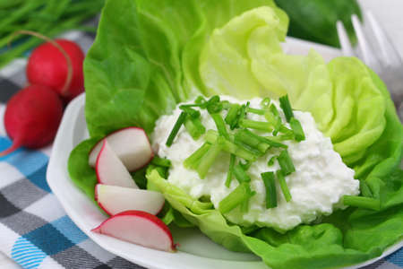 Healthy breakfast of cottage cheese with chives and radishの写真素材