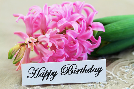 Happy Birthday card with pink hyacinthの写真素材