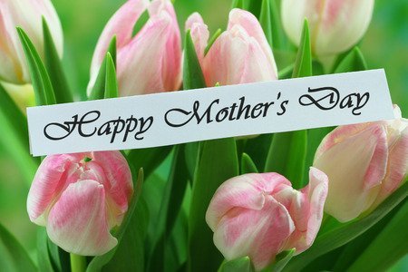 Happy Mother s Day card with pink tulipsの写真素材