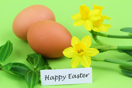 Happy Easter card with eggs and daffodilsの写真素材