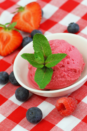 Fruit sorbetの写真素材